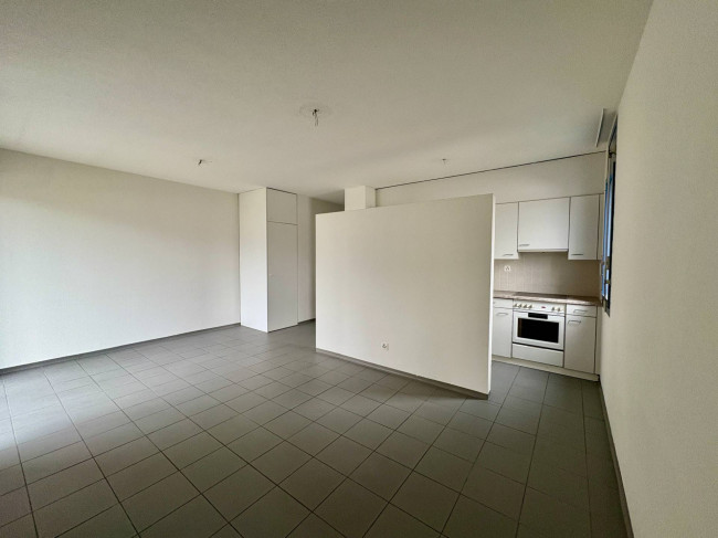 Appartamento in affitto a Chiasso