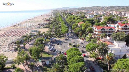 Attività commerciale