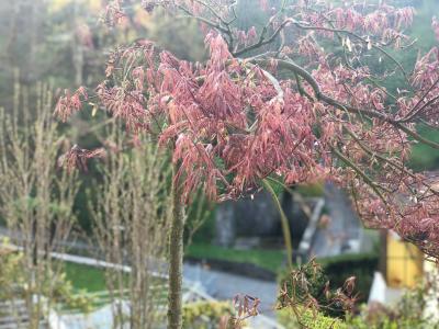 Villette a schiera in vendita a Lugano