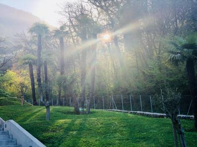 Villette a schiera in vendita a Lugano