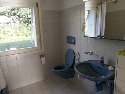 Casa singola in vendita a Lugano