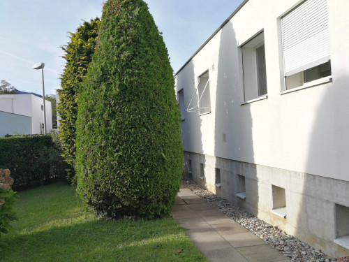 Casa singola in vendita a Lugano