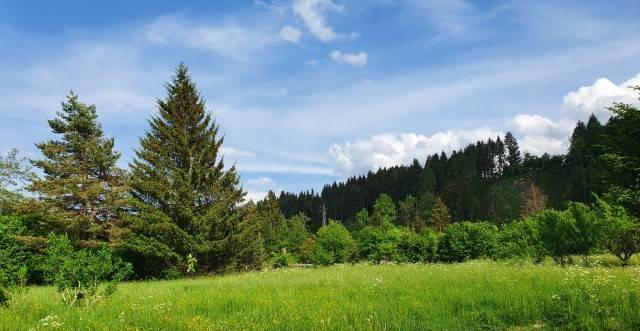 Terreno edificabile in vendita a Tarvisio (UD)