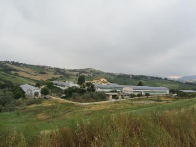 Azienda Agricola