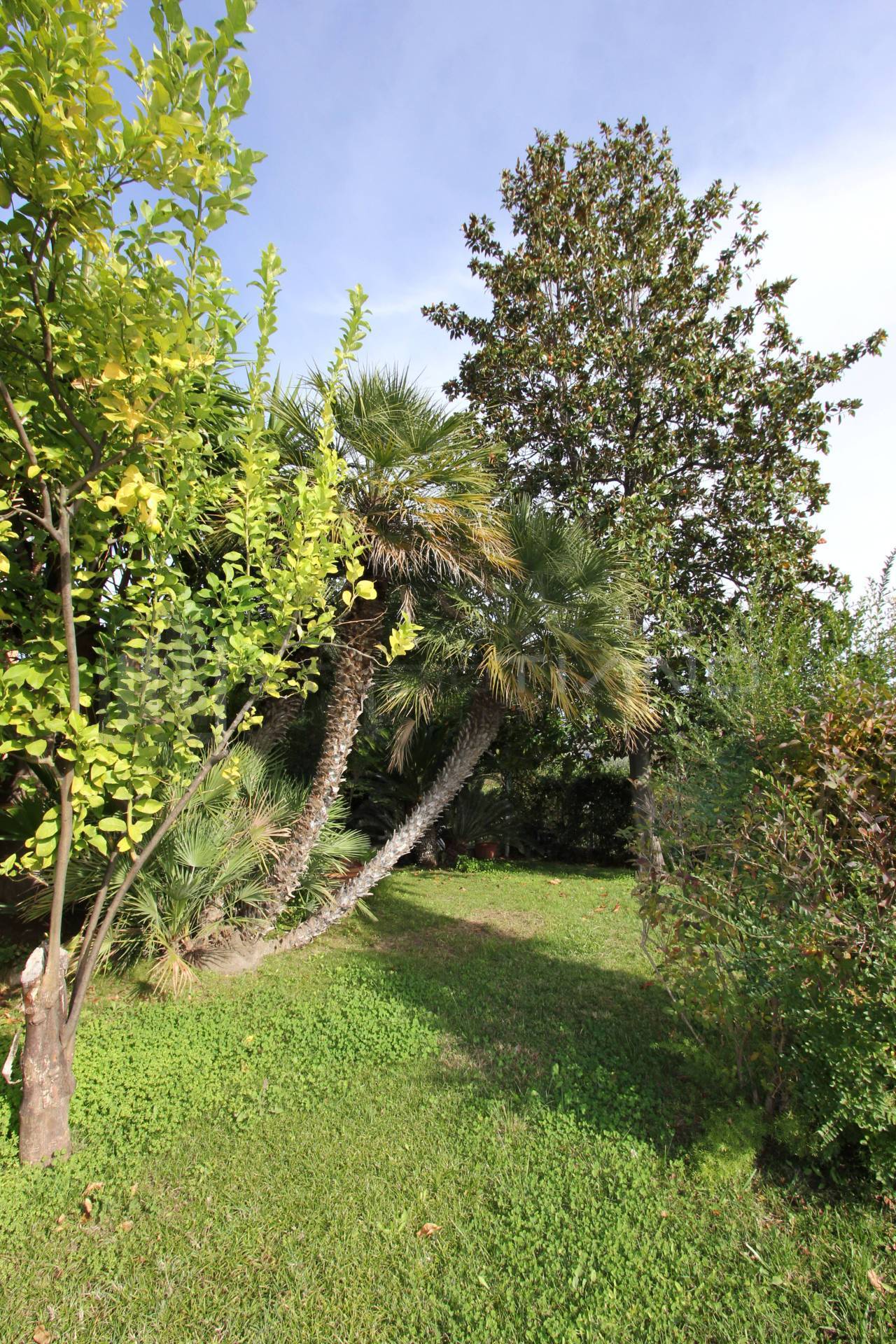 Villa in vendita a Rende (CS)