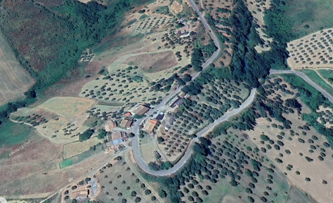 Terreno Agricolo in vendita a Altomonte
