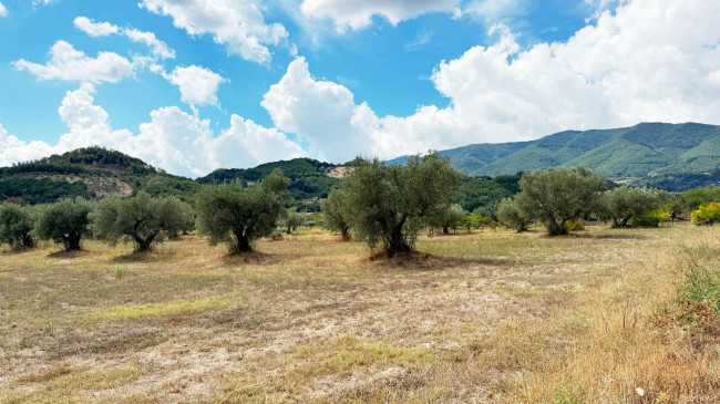 Terreno Agricolo in vendita a Montalto Uffugo