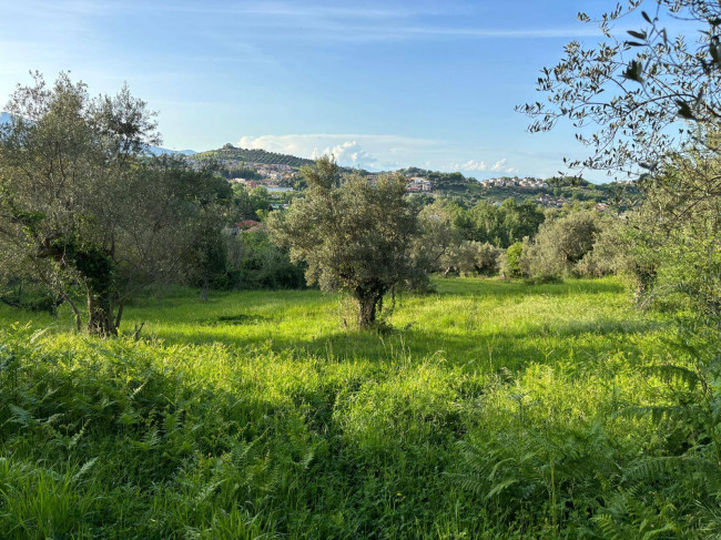 Terreno Agricolo in vendita a Rende
