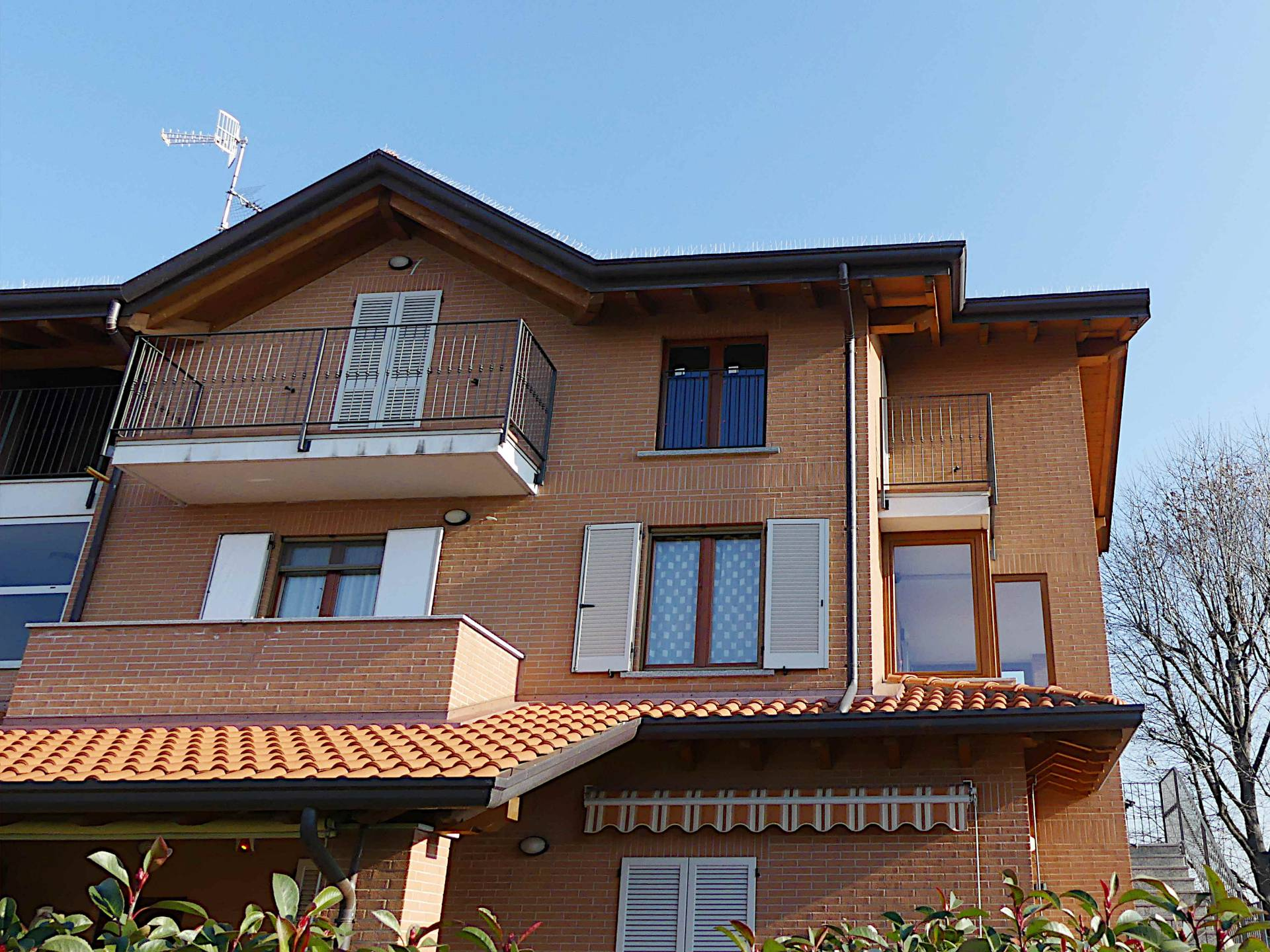 Appartamento VENEGONO SUPERIORE vendita    MasterCasa - TRADATE -