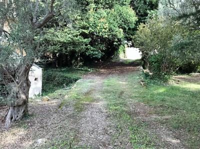 Terreno edificabile in vendita a Gagliano, Catanzaro (CZ)