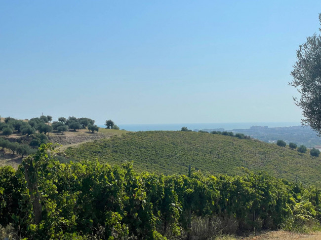 Terreno agricolo con agriturismo in vendita a Silvi