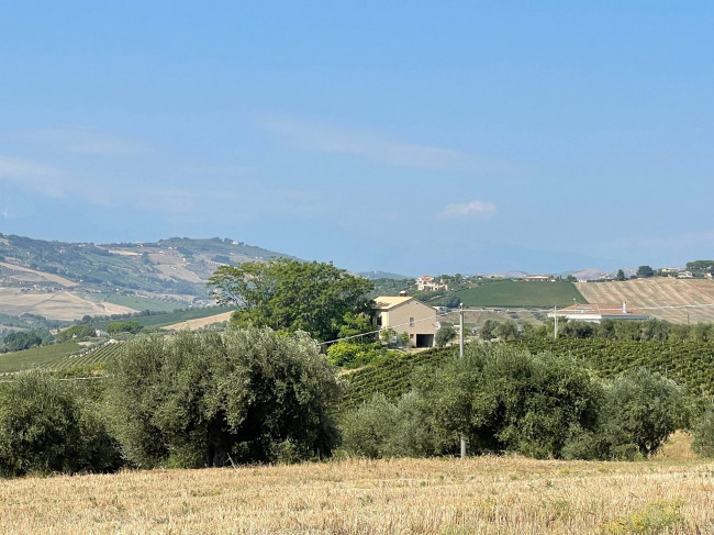 Terreno agricolo con rustico in vendita a Silvi