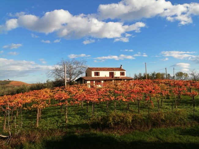 Casa con terreno agricolo in vendita a Loreto Aprutino