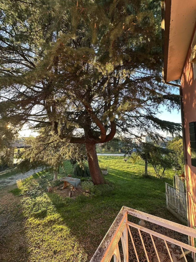 Abbinata in vendita a Villorba