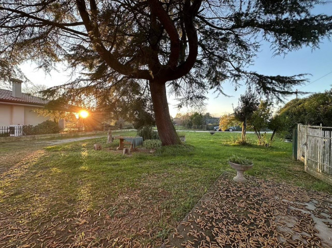 Abbinata in vendita a Villorba