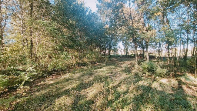 Casa singola in vendita a Carbonera