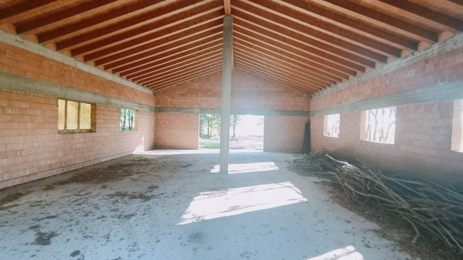 Casa singola in vendita a Carbonera