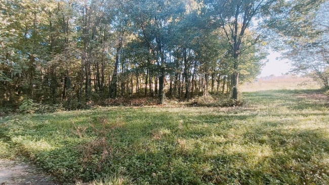 Casa singola in vendita a Carbonera