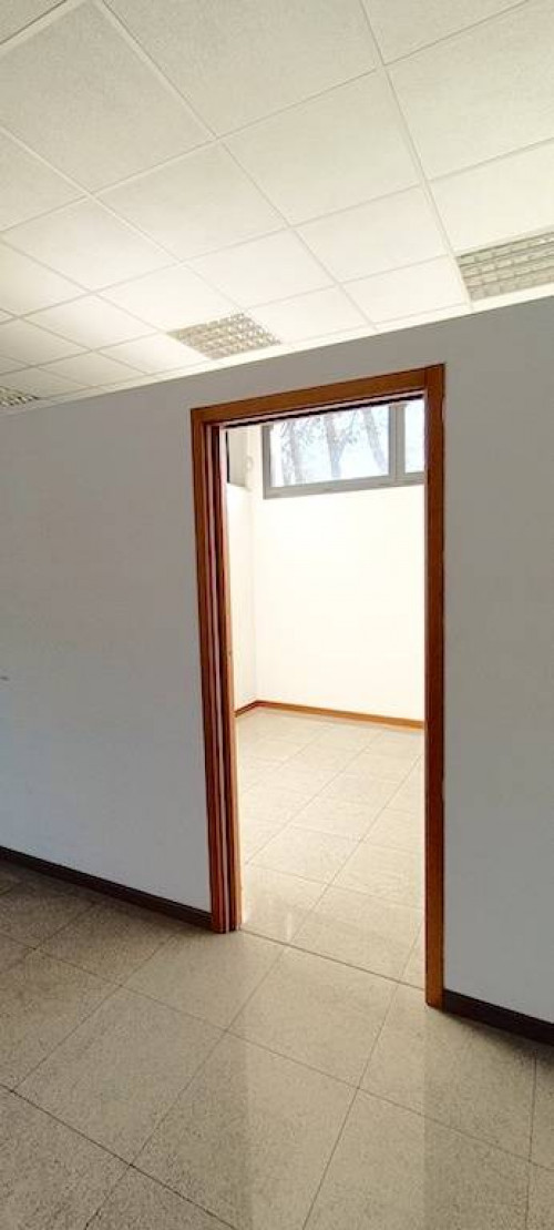 Negozio in affitto a Treviso