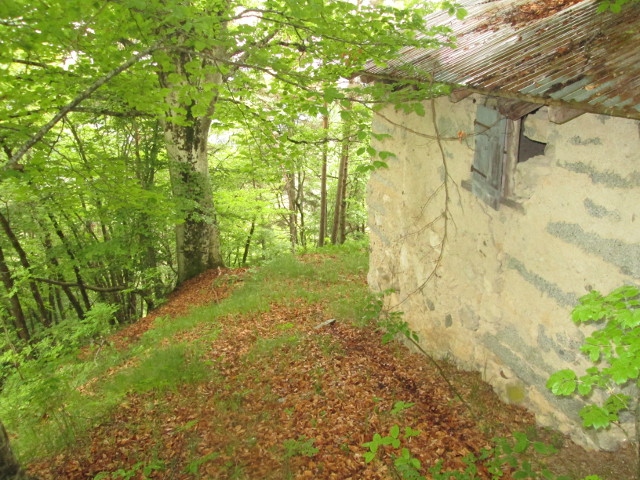 Rustico - Cascina RAGOLI vendita    TRENTINO CASA