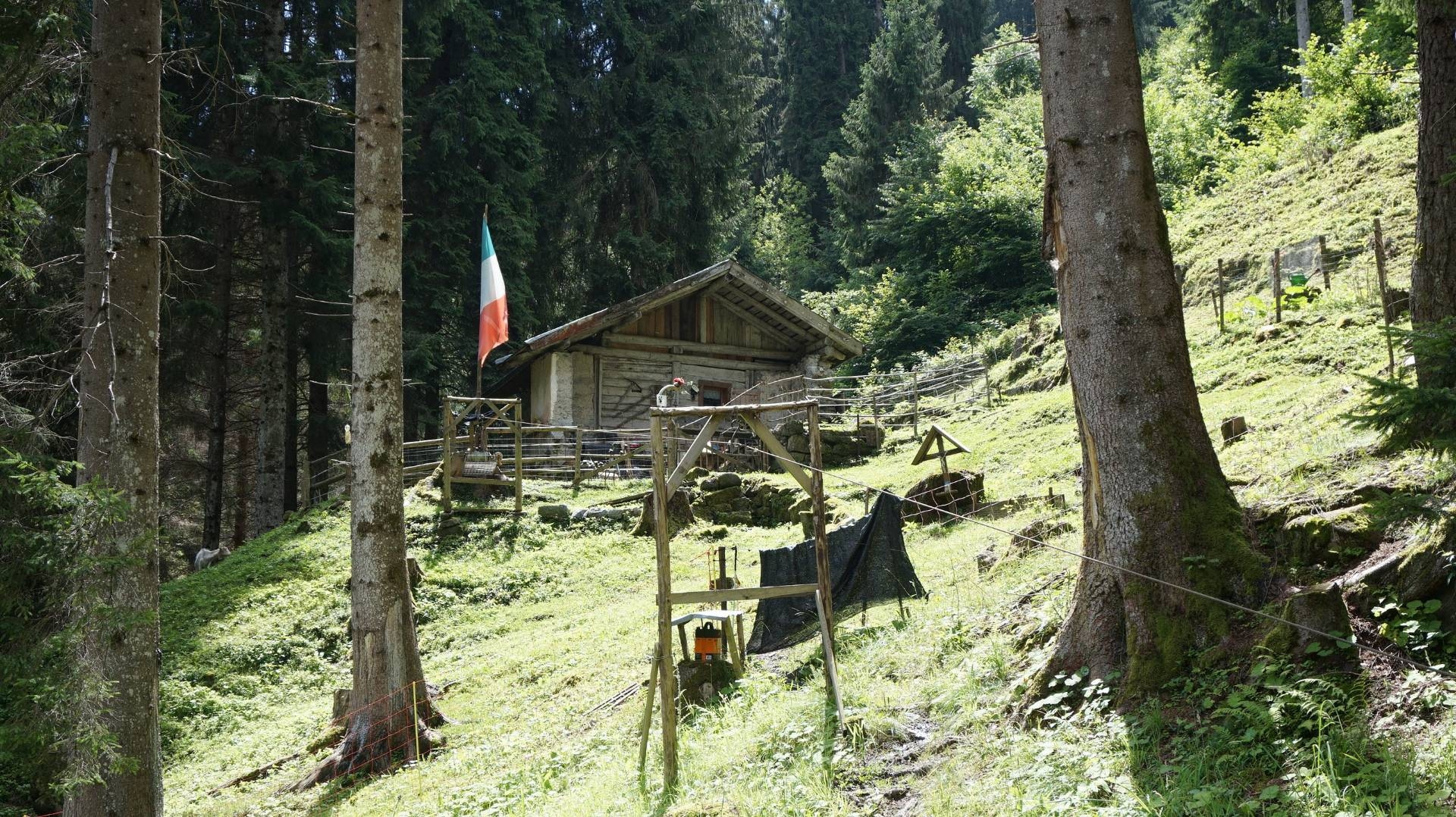  pelugo vendita quart:  trentino-casa