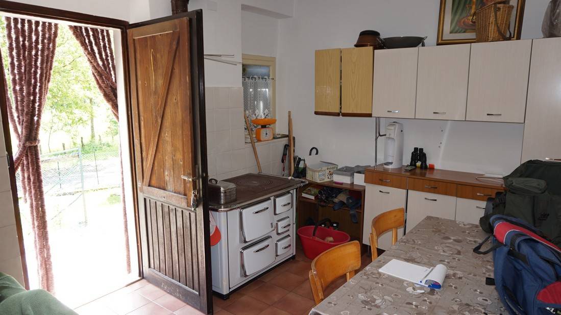 Appartamento DAONE vendita  Val di Daone  TRENTINO CASA