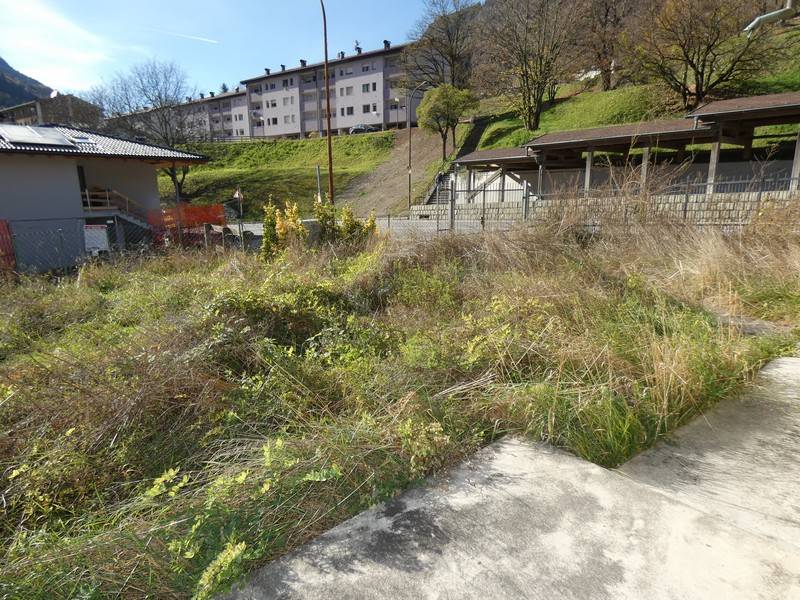Foto casa indipendente in vendita a Tione di Trento (Trento)