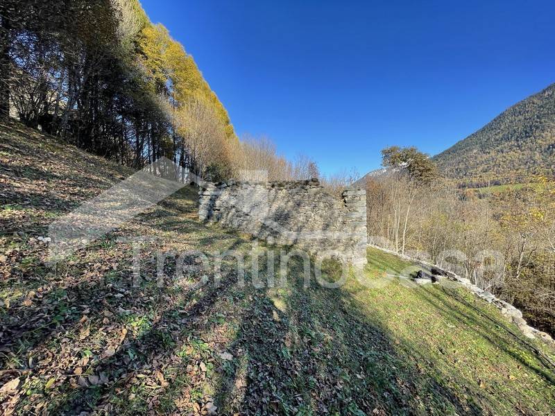 Foto casale/rustico in vendita a Sella Giudicarie (Trento)