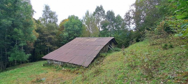 Rustico in vendita a Sella Giudicarie (TN)