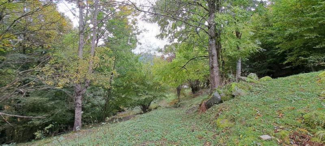 Rustico in vendita a Sella Giudicarie (TN)