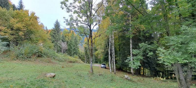 Rustico in vendita a Sella Giudicarie (TN)