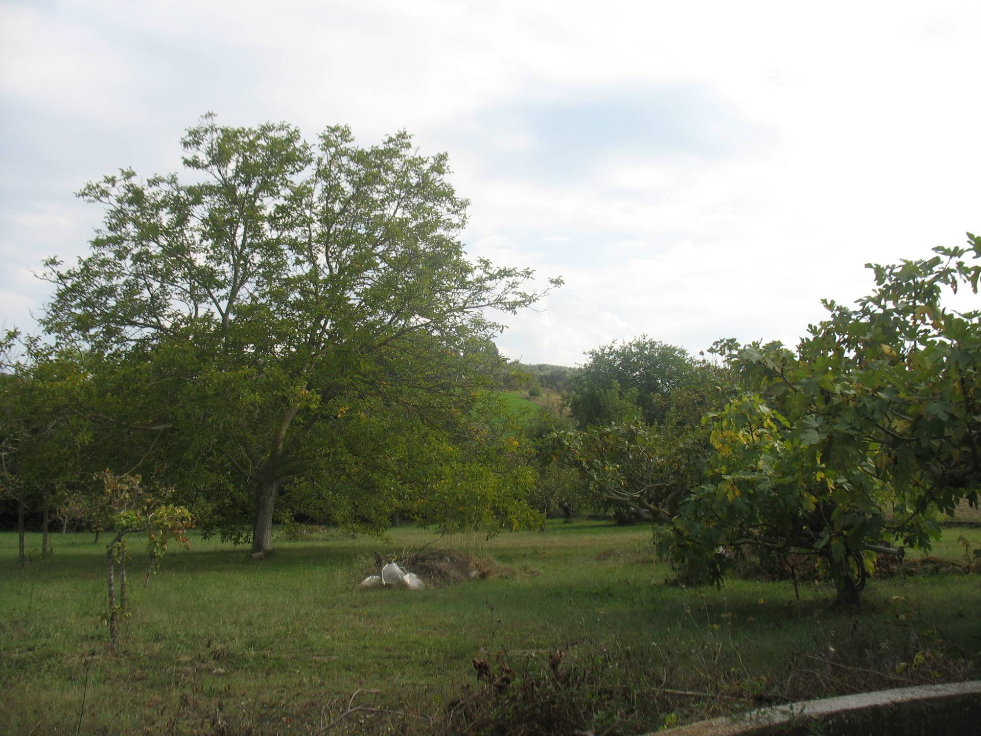 Villa MOSCUFO vendita  Valle Molino  REALCANTIERI