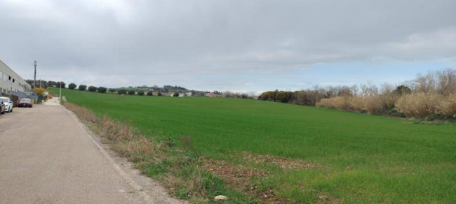 Terreno per attivita industriali-artigianali-commerciali in Vendita a Spoltore