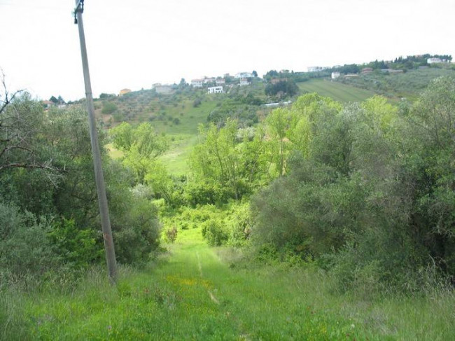 Terreno Agricolo in Vendita a Spoltore