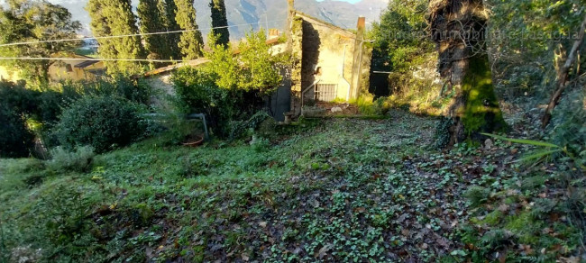 Palazzo in vendita a Camaiore (LU)