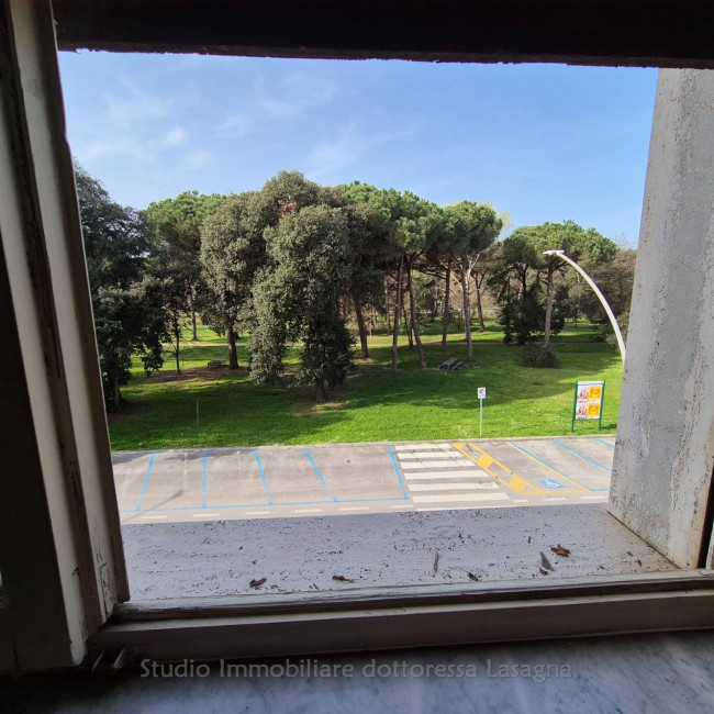  in Kauf bis Viareggio