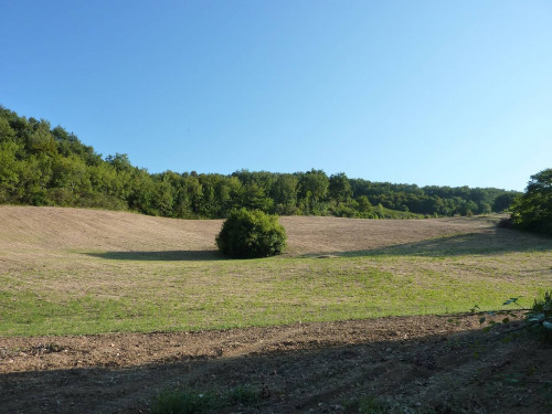 Terreno Agricolo in Vendita a Ripatransone