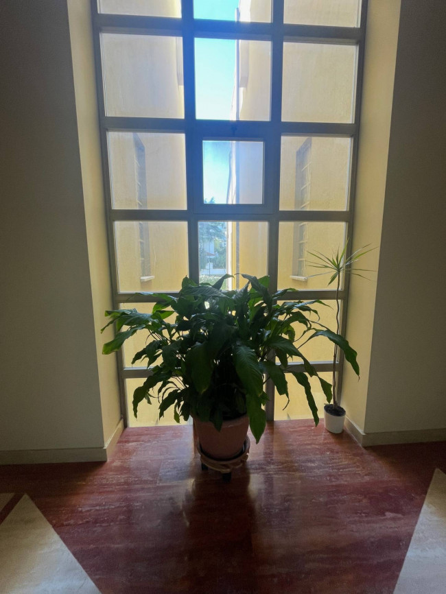 Appartamento in affitto a Pescara