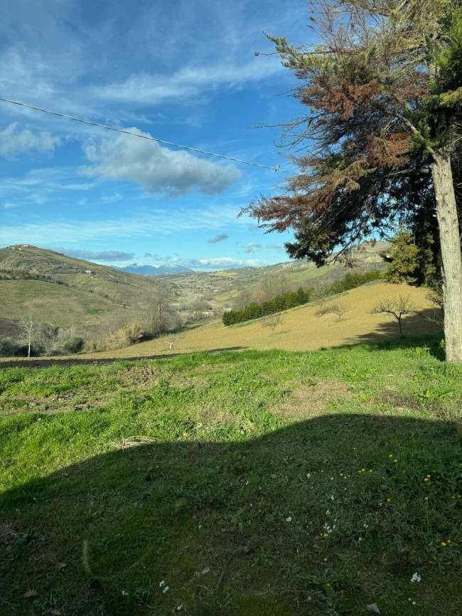 Terreno Agricolo in vendita a Città Sant'Angelo