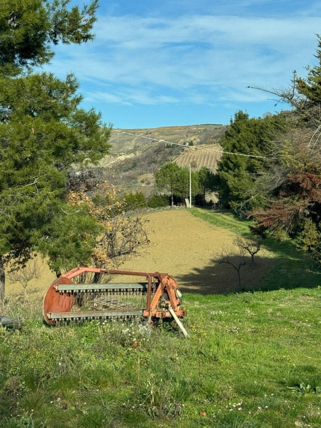 Terreno Agricolo in vendita a Città Sant'Angelo