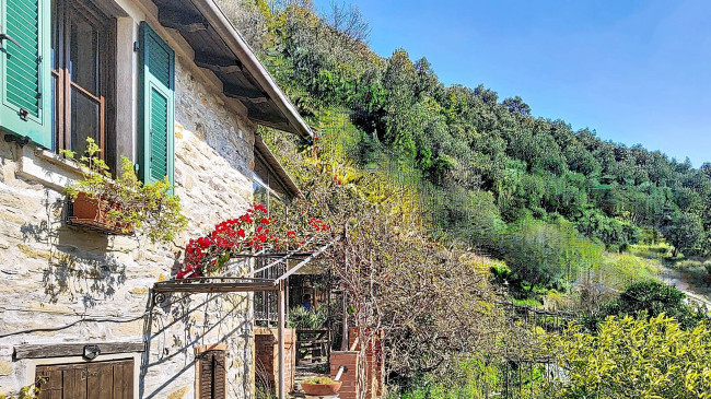 terra/tetto in Vendita a San Colombano Certenoli