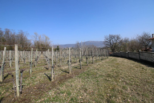 Terreno edificabile in vendita a San Floriano Del Collio-Števerjan (GO)