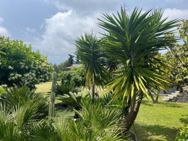 Villa in vendita a Imperia