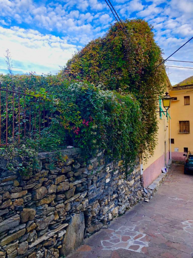 Casa singola in vendita a Rezzo