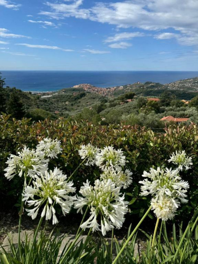 Villa in vendita a Imperia