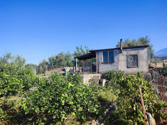 Terreno Agricolo in Vendita a Paternò