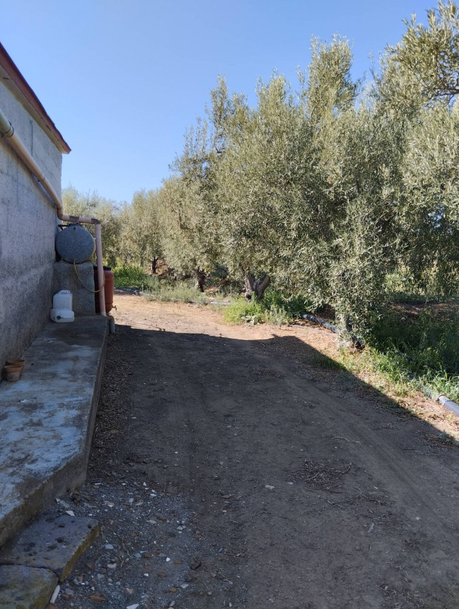 Terreno Agricolo in Vendita a Ramacca