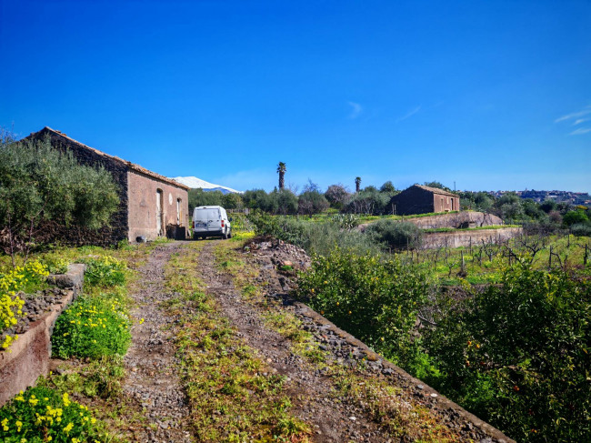 Terreno Agricolo in Vendita a Santa Maria di Licodia