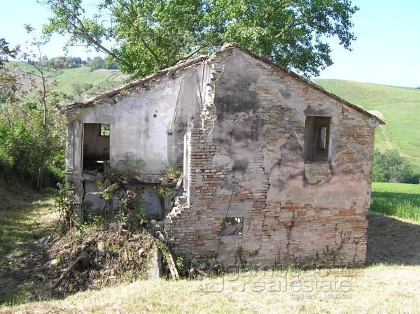 Rustico - Cascina BARCHI vendita    Gambedotti Real Estate