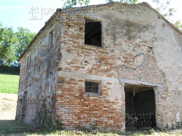 Rustico - Cascina BARCHI vendita    Gambedotti Real Estate